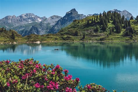 Fonds Decran Montagnes Lac Suisse Nature Télécharger Photo