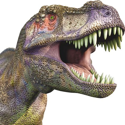 Dinosaur Png