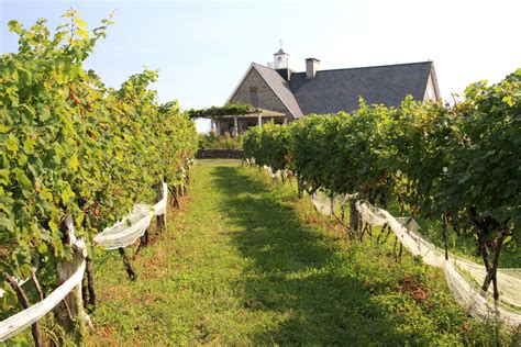 Connecticut Boasts More Than Forty Wineries And Vineyards Each