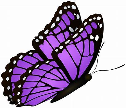 Butterfly Purple Clipart Flying Transparent Butterflies Clip