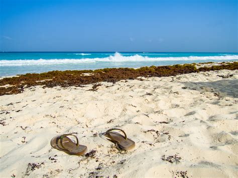 No importa en qué época del año lo visites, siempre podrás experimentar el increíble clima de cancún, mientras vives unas maravillosas. Tiempo Cancún en junio 2021: Temperaturas & Clima