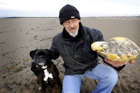 Obviously enough, this is very concerning if your dog eats and then (with little struggle) just throws up, then it is most likely regurgitation. Dog walker finds lump of whale vomit ambergris on beach ...