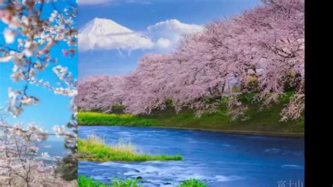 The Most Beautiful Landscape Near Fuji Mountain Japan