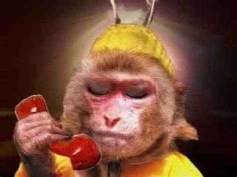  KERA SAKTI - SUN GO KONG - YouTube