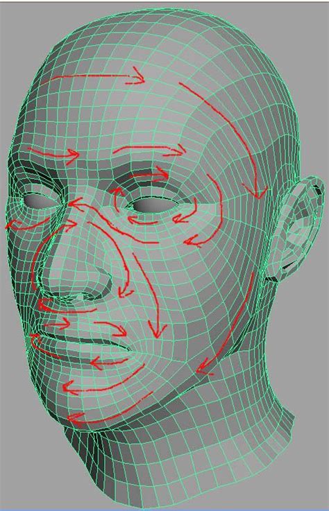 human head model focused on topology face topology maya modeling topology