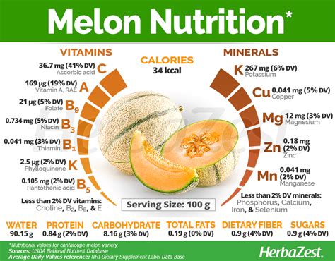 Melons Have Been A Widely Popular Fruit Since Their Discovery And