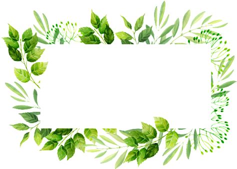 Leaves Border Png Pic Png Mart