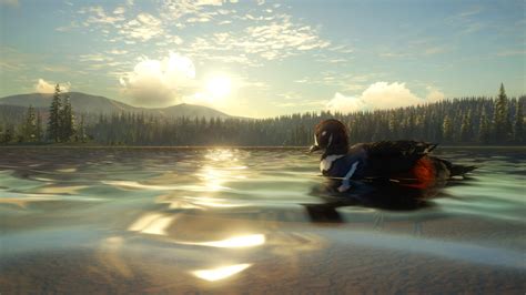 Save 25 On Thehunter Call Of The Wild Yukon Valley On Steam