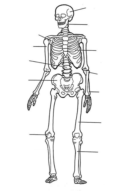 My Body Parts Coloring Pages Pictures To Pin On Pinterest Pinsdaddy