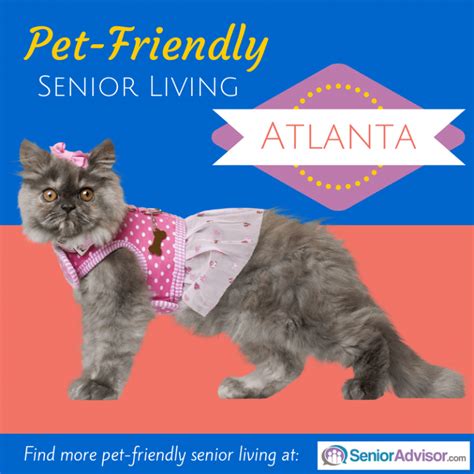 Pet Friendly Senior Living In Atlanta Blog