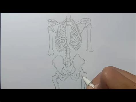 We did not find results for: Cara Membuat Wayang Tengkorak Manusia