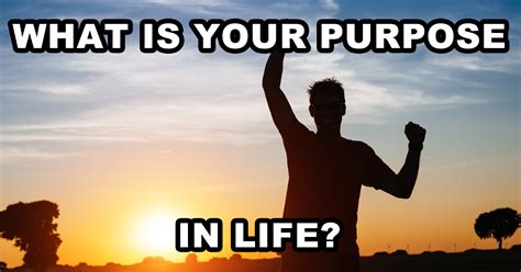 What Is Your Purpose In Life Life Purpose Life Purpose