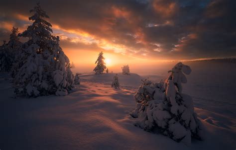Wallpaper Winter Snow Trees Sunset Ate Norway The Snow Norway