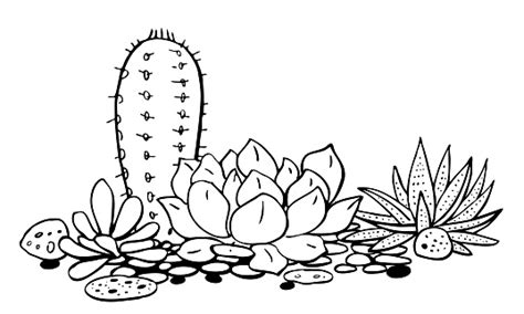 Black and white cactus stock vectors, clipart and illustrations. Cactus And Succulents Group Vector Hand Drawn Outline ...