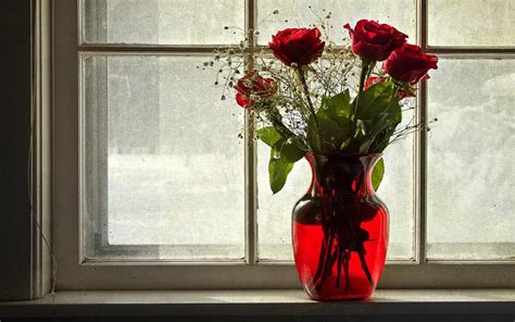 Roses Vase Window Flowers Hd Desktop Wallpaper Widescreen High