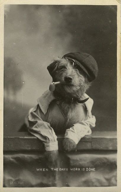 Vintage Dog Vintage Dog Dog Pictures Dog Photography