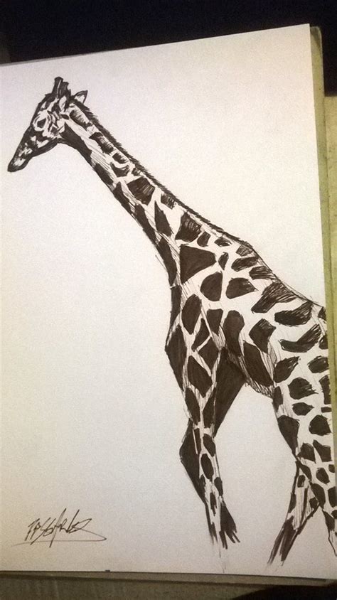 Giraffe Giraffe Deviantart Art