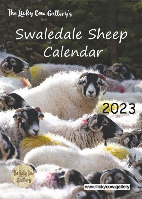 Swaledale Sheep Calendar 2023