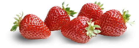 The Food Secrets : The Secret of Strawberries - O Segredo dos Morangos - The Food Secrets