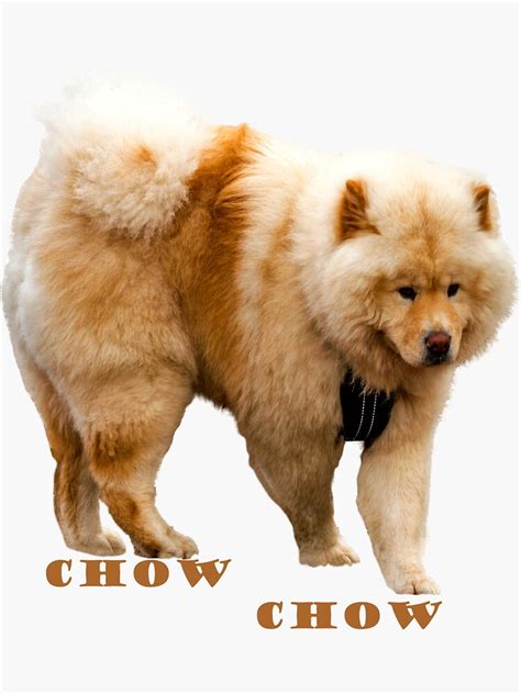 Chow Chow In Action Colour Logo Sticker For Sale By Aliusimago