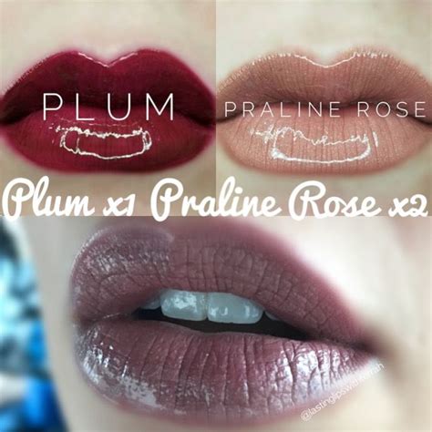 Plum And Praline Rose Lipsense Layered Combo Combination With Glossy