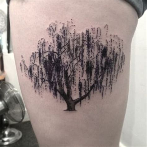 Willow Tree Tattoo Willow Tree Tattoos Tree Tattoo Meaning Tree Tattoo