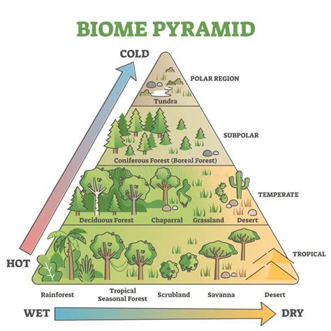 Biome Pyramid As Ecological Weather Or Climate Classification Outline