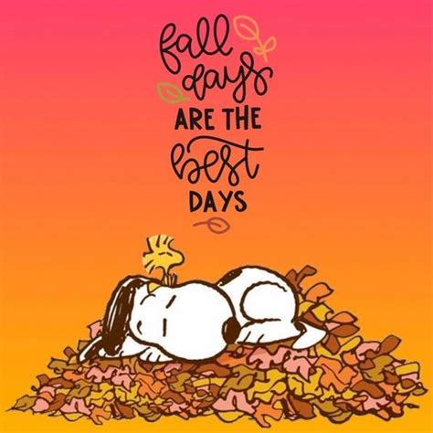 Octobermemes Fallmemes Snoopy Snoopy Quotes Snoopy Love Snoopy