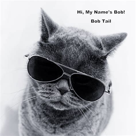 What You Didnt Know About The American Bobtail Cat 2 Paws Up Pet