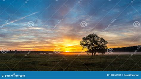 Sunrise Over Field And Tree Stock Photo Image Of Plant Silhouette