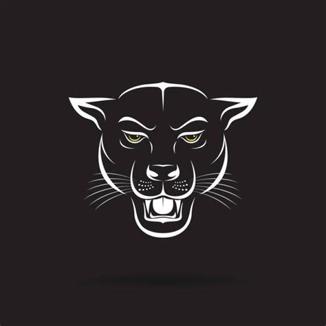 Vector Of An Angry Panther Head On Black Background Wild Animals