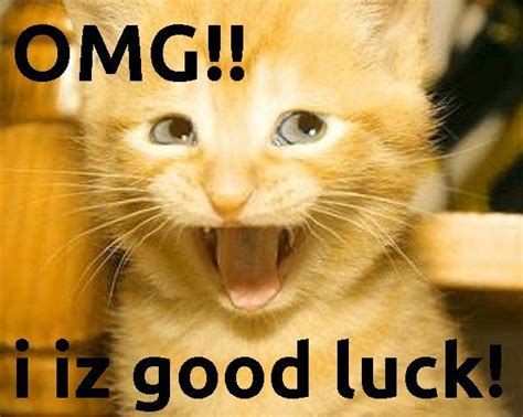 Funny Goodluck Wishes Good Luck Wishes For Exam Wishes Greetings