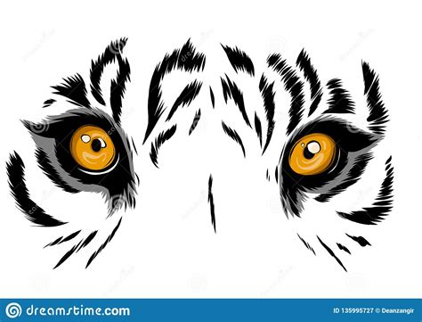 Tiger Eyes Cartoon Vector 12195663