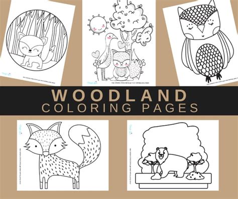 10 Woodland Animals Coloring Pages Free Enjoy Nature While Coloring
