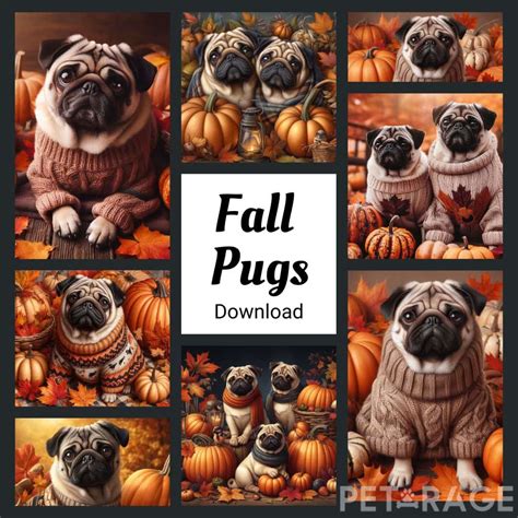 Fall Pugs Petrage Dogs N Stuff Downloads