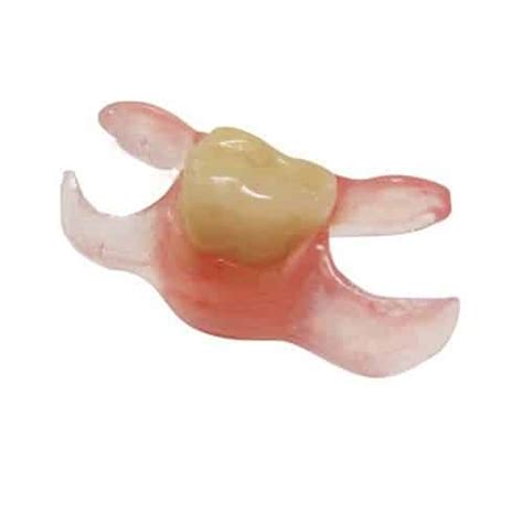 Nesbit Partial Dentures Dentkits
