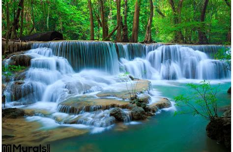 Deep Forest Waterfall Kanchanaburi Thailand Wall Mural