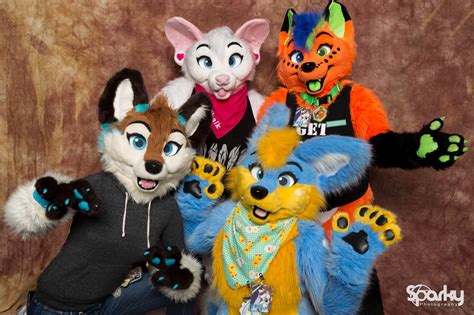 Az Furs Az Furs Blog What Are Az Furs