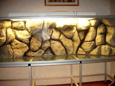 Maybe not, but i do and they look pretty cool as well. Background for turtle tank. | New turtle habitat ideas ...
