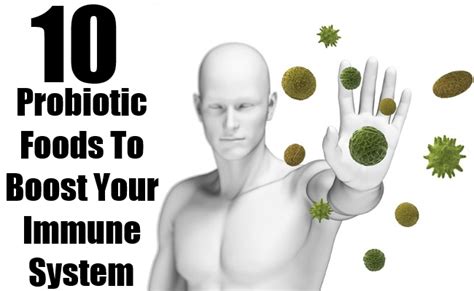 The immune system needs several nutrients to function well. Top 10 Probiotic Foods To Boost Your Immune System | Find ...