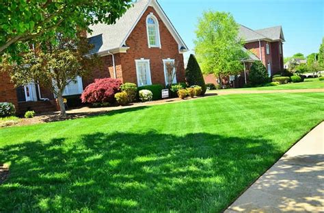 Your Curb Appeal How To Make Sure You Have The Best Looking Yard In