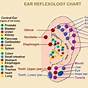 Acupressure Points Chart For Ears