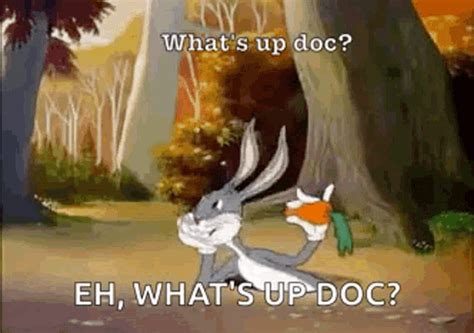 Whats Up Doc Bugs Bunny  Whats Up Doc Bugs Bunny Rabbit Discover