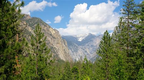 Sequoia And Kings Canyon National Parks California Attraction