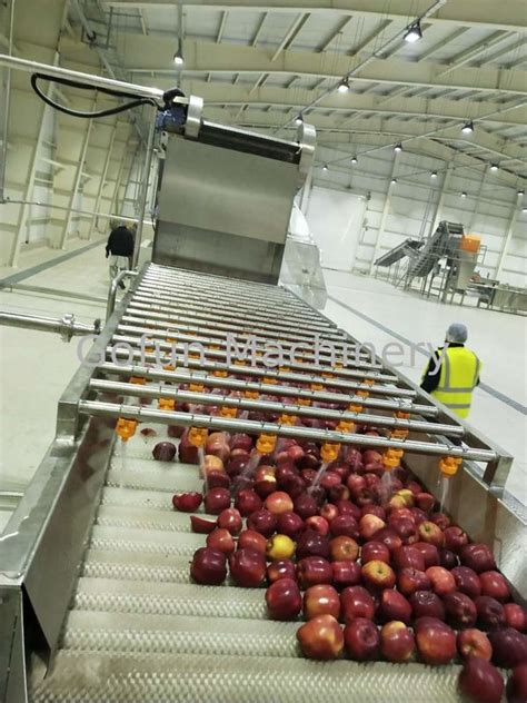 Ce Industrial Automatic Apple Juice Processing Machine 75kw Sus304