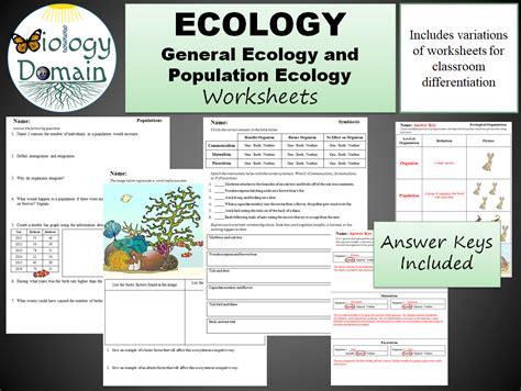 40 Population Community Ecosystem Worksheet Worksheet Resource
