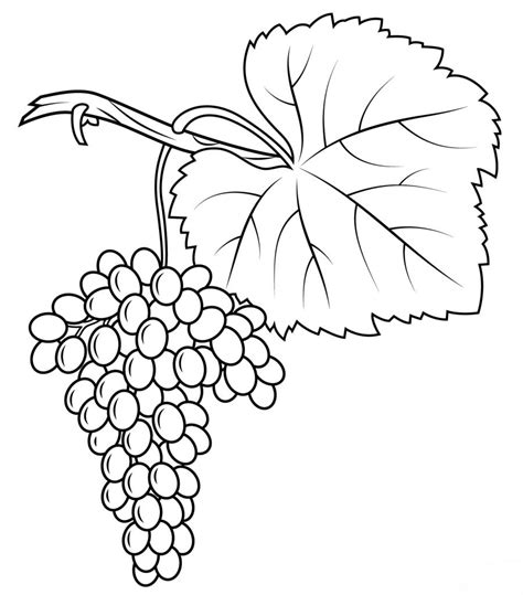 Check spelling or type a new query. √Gambar Mewarnai Buah Anggur Untuk TK dan Paud ...