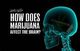 Marijuana Brain Images