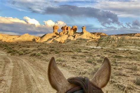 Pinon Mesa Equestrian Trails New Mexico