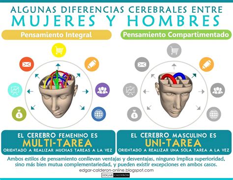 Diferencias Entre Los Hemisferios Cerebrales Del Hombre Y La Mujer